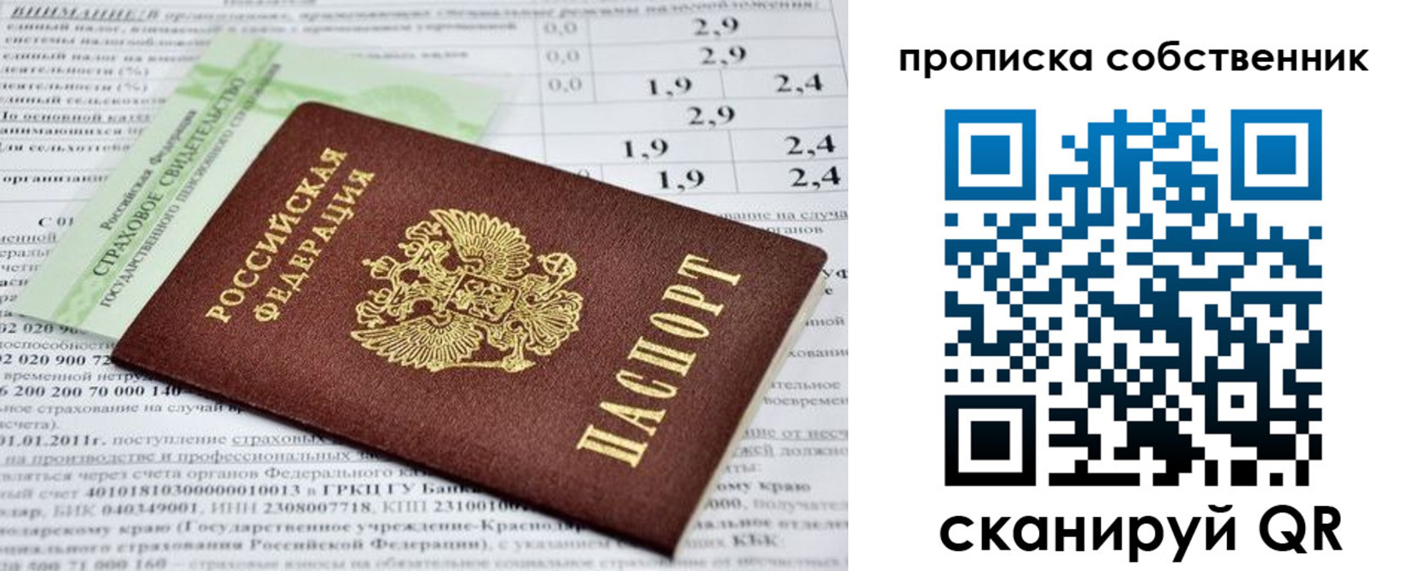прописка 2025 в Краснозаводске